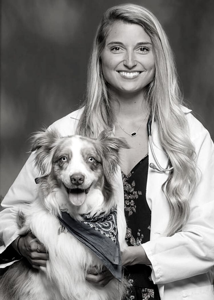 Marietta, GA 30068 Veterinarians Providence Veterinary Clinic