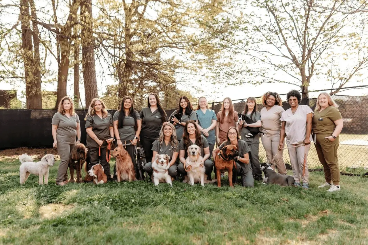 Providence Veterinary Clinic team